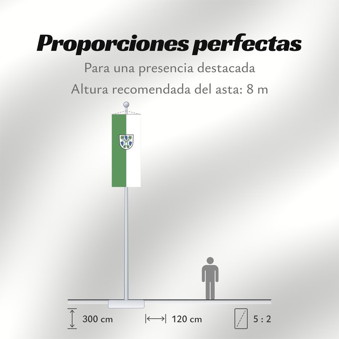 Proporciones de la bandera: Dossenheim (Nördliches Baden-Württemberg)