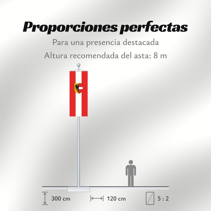 Proporciones de la bandera: Achern (Mittlerer Schwarzwald)