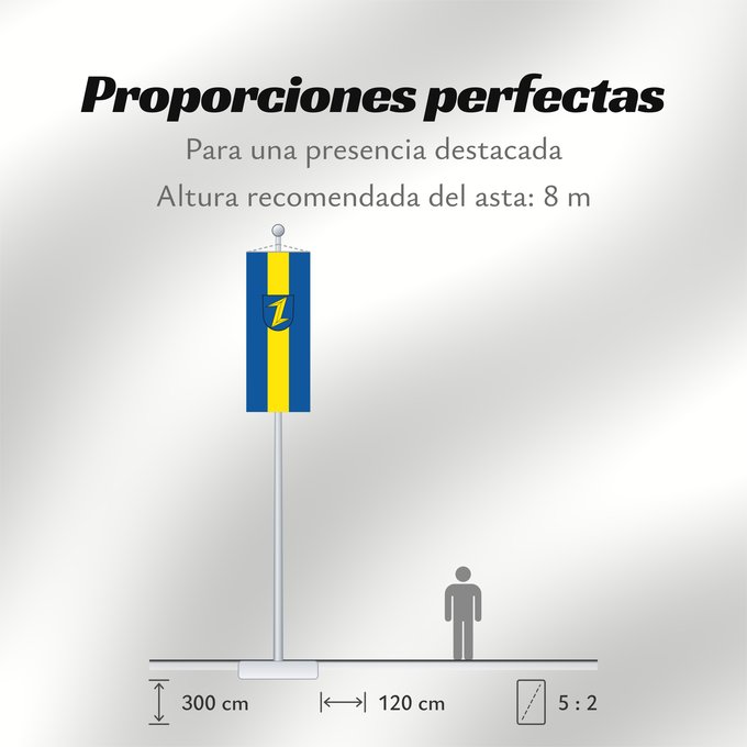 Proporciones de la bandera: Wolfach (Mittlerer Schwarzwald)