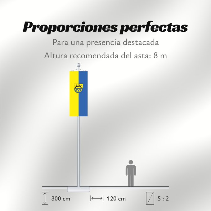 Proporciones de la bandera: Tuttlingen (Kreis)