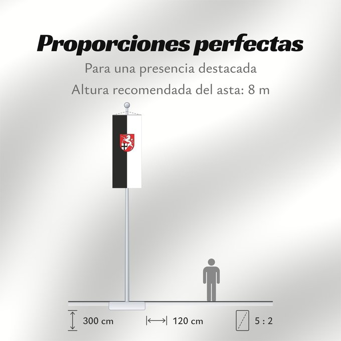 Proporciones de la bandera: Tengen (Hegau)