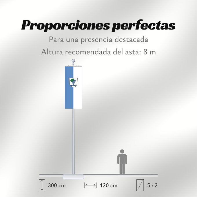 Proporciones de la bandera: Weil am Rhein (Südlicher Schwarzwald)