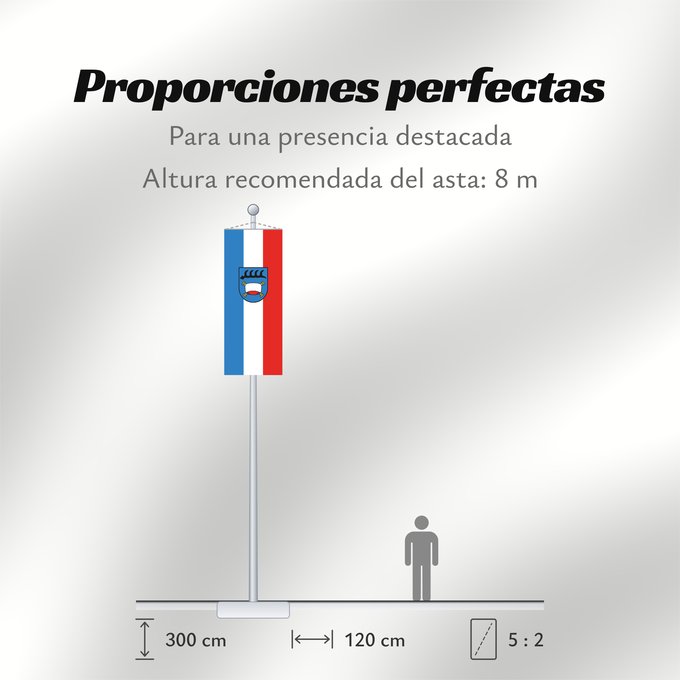Proporciones de la bandera: Pfullingen (Schwäbische Alb)