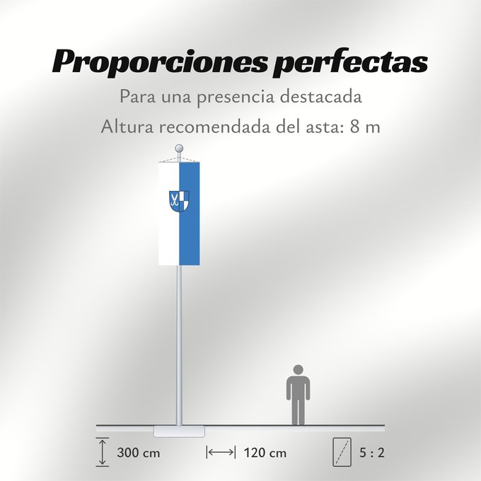Proporciones de la bandera: Jungingen (Schwäbische Alb)