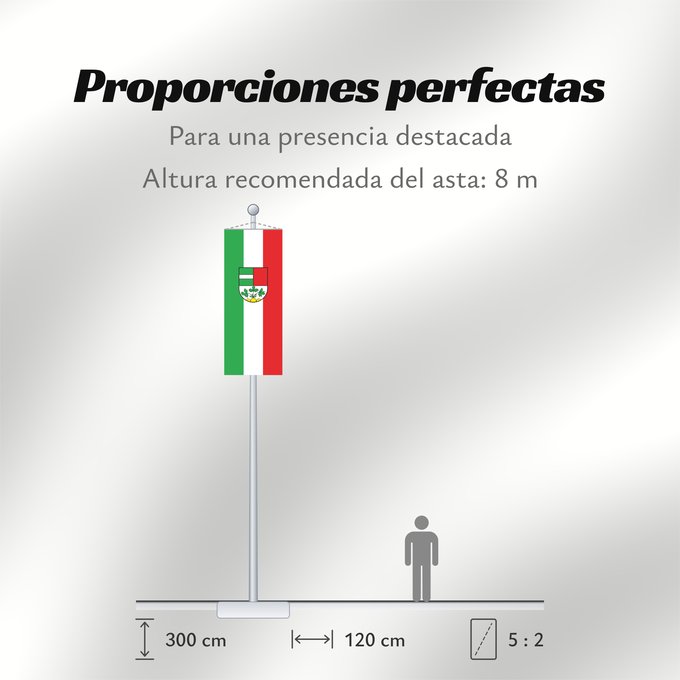 Proporciones de la bandera: Laupheim (Württembergisches Allgäu Oberschwaben)