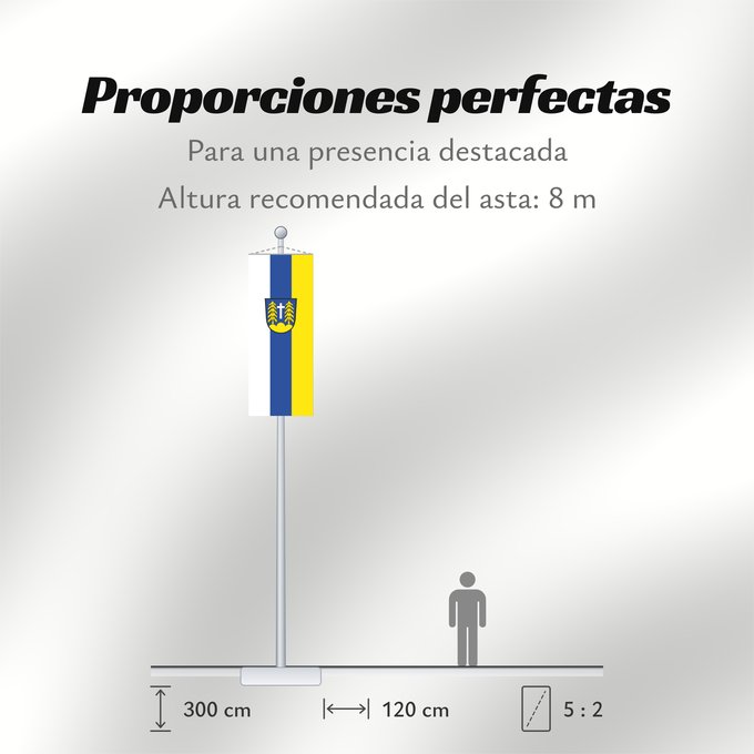 Proporciones de la bandera: Forstinning (Ebersberger Grünes Land)