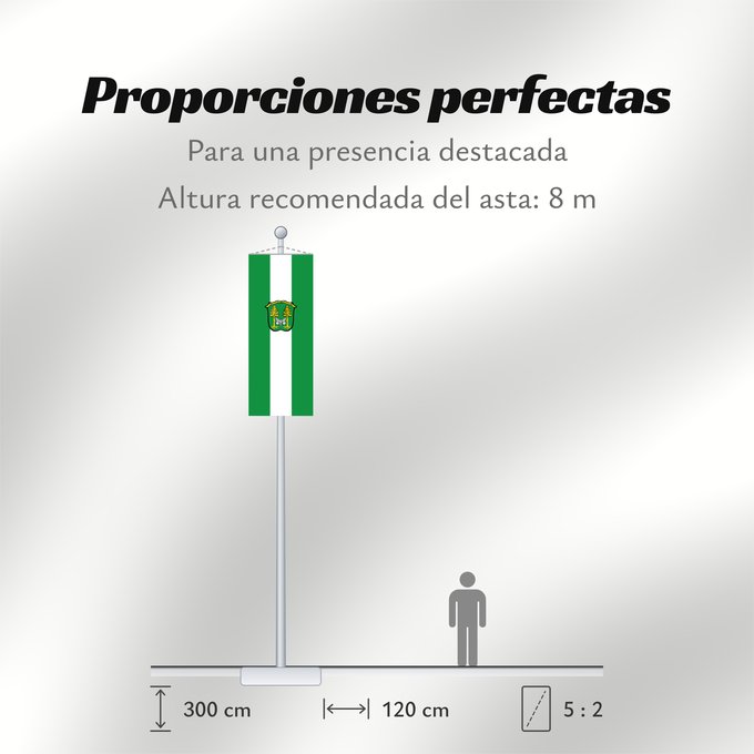 Proporciones de la bandera: Kirchseeon, M (Ebersberger Grünes Land)
