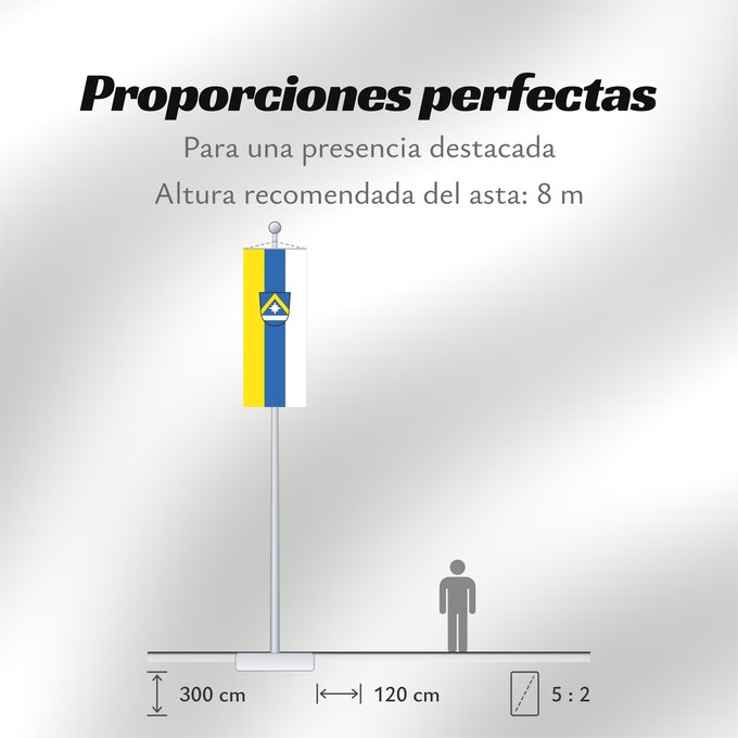 Proporciones de la bandera: Poing (Ebersberger Grünes Land)