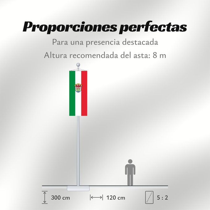 Proporciones de la bandera: Miesbach (Kreis)