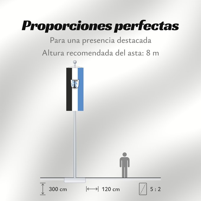 Proporciones de la bandera: Aschheim (Münchener Umland)