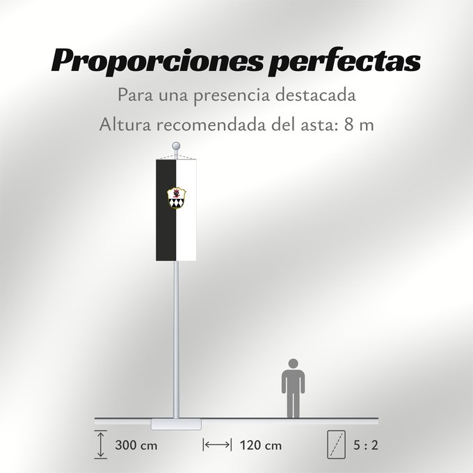 Proporciones de la bandera: Ismaning (Münchener Umland)