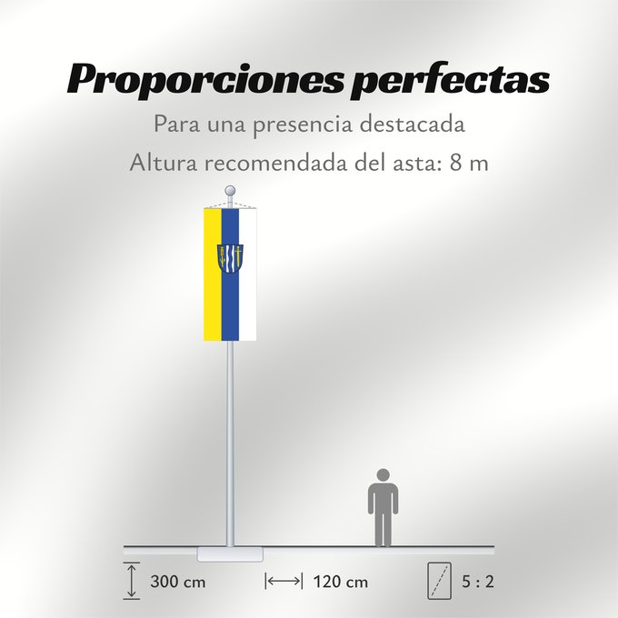 Proporciones de la bandera: Aresing (Oberbayerns Städte)