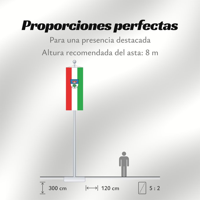 Proporciones de la bandera: Berg im Gau (Oberbayerns Städte)