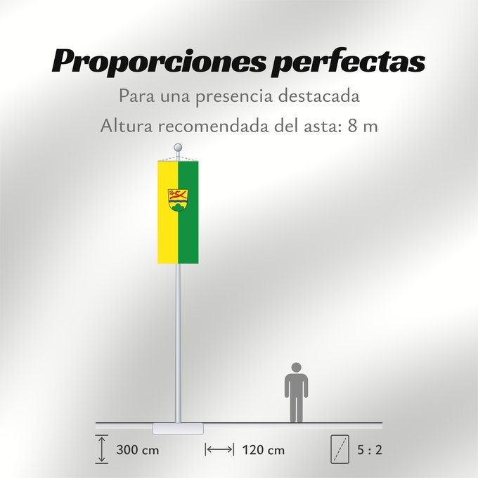 Proporciones de la bandera: Niederalteich (Bayerischer Wald)