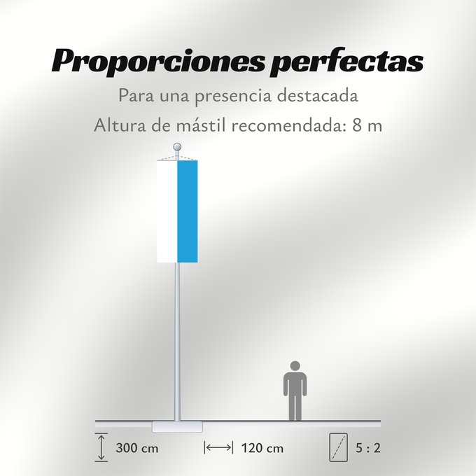 Proporciones de la bandera: Bayern
