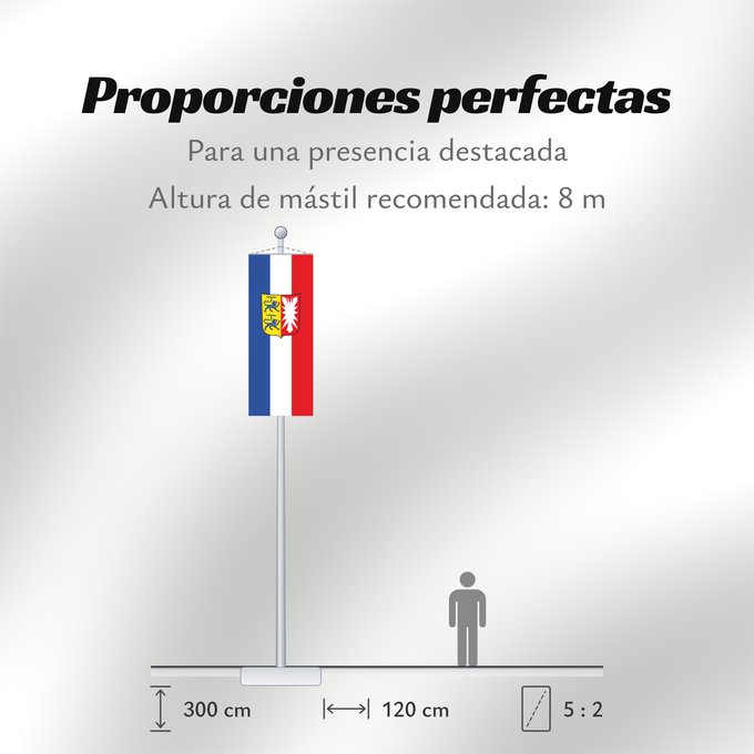Proporciones de la bandera: Schleswig-Holstein