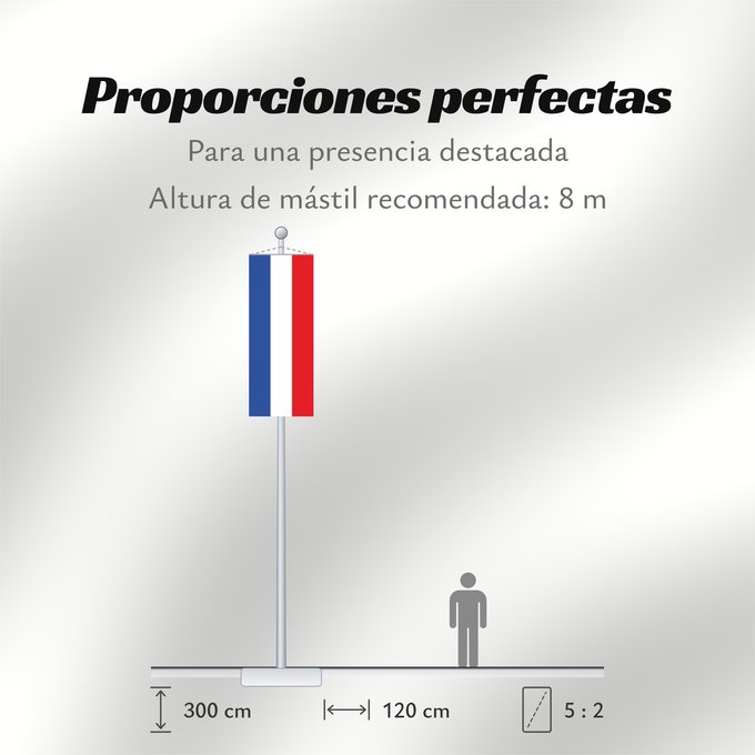 Proporciones de la bandera: Schleswig-Holstein
