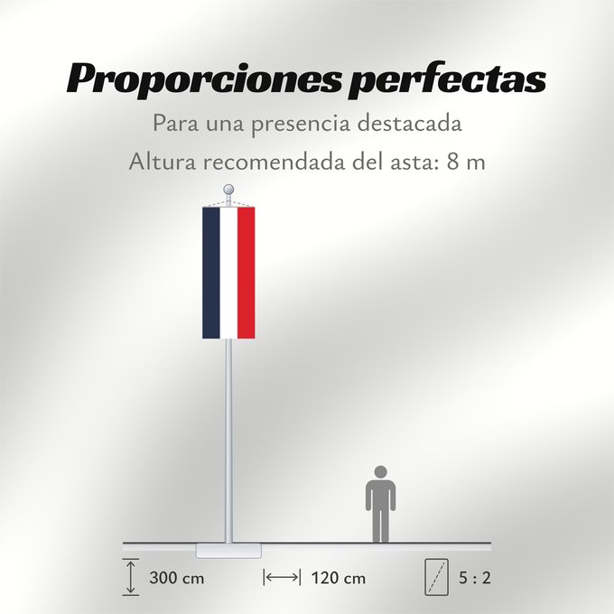 Proporciones de la bandera: France	Francia	Frankreich	France in #002654, #FFFFFF, #CE1126
