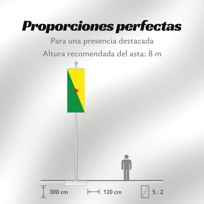 Proporciones de la bandera: French Guiana	Guyane	Guayana Francesa	Französisch-Guayana	Guyana Francese