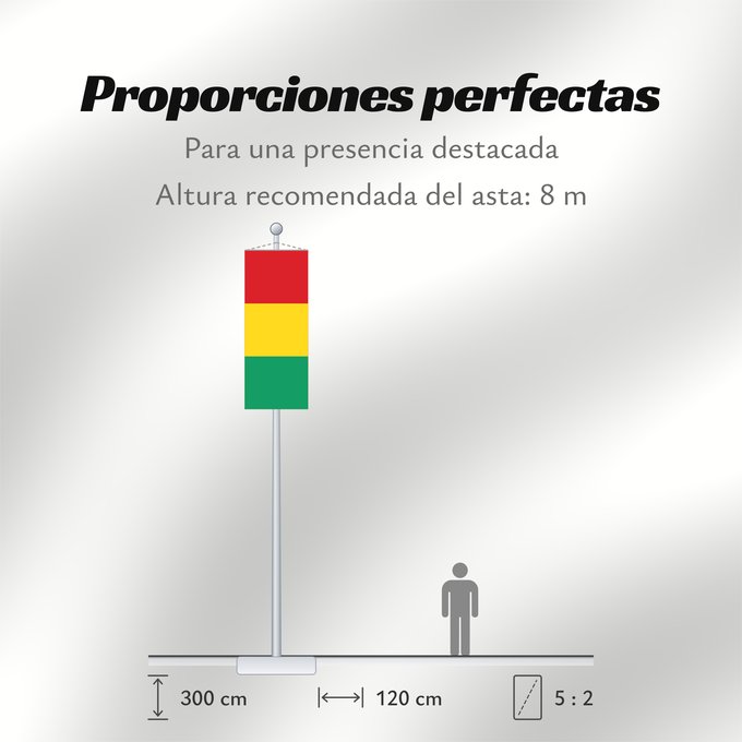 Proporciones de la bandera: Guinea	Guinée