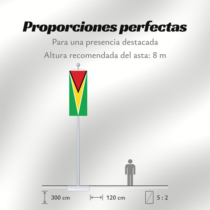 Proporciones de la bandera: Guyana	Guiana	Wayana wiphala	Gujano	Gwayana	Wayana unancha	Флаг Гайаны	Guyanas	Quốc kỳ Guyana