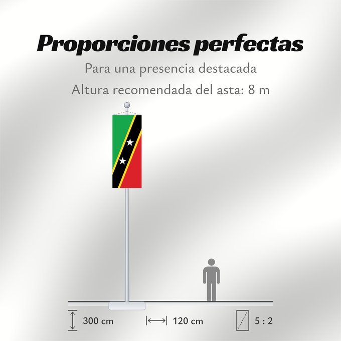 Proporciones de la bandera: Saint Kitts and Nevis	Saint-Christophe-et-Niévès	San Cristóbal y Nieves	St. Kitts und Nevis	Saint Kitts e Nevis	Saint Kitts a Nevis	Shan Críostóir-Nimheas	Sen Kitts ha Nevis	Флаг Сент-Китса и Невиса	Saunt Kitts an Nevis	Saint Kittsa in Nevisa