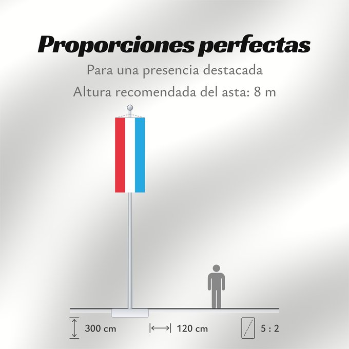 Proporciones de la bandera: Luxembourg	Luxemburgo	Luxemburg	Lussemburghese	Luksemburga	Сцяг Люксембурга	Национално знаме на Люксембург	Banniel Luksembourg	Lucemburská vlajka	Luxembourgs	Σημαία του Λουξεμβούργου	Luksemburgi lipp	پرچم لوکزامبورگ	Luxemburgin	Lucsamburg	ლუქსემბურგის დრო