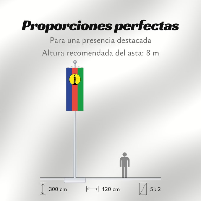 Proporciones de la bandera: FLNKS	Kanak and Socialist National Liberation Front political party	Front de libération nationale kanak et socialiste	Colores Pantone http //www	Neukaledonien	Nuova Caledonia	Front d Alliberament Nacional Canac Socialista