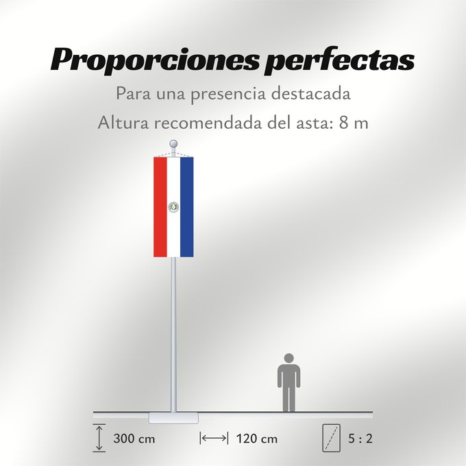 Proporciones de la bandera: Paraguay	Paraguay  obverse	علم باراغواي	پرچم پاراگوئه  روی پرچم	Флаг Парагвая