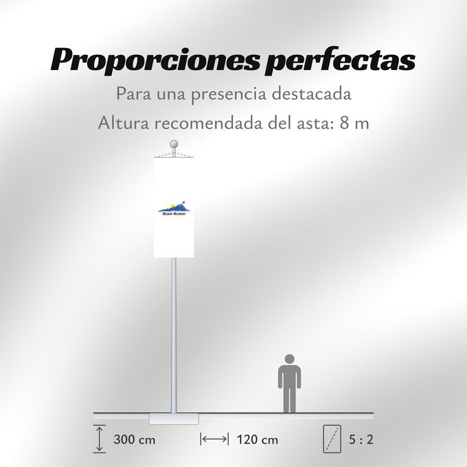 Proporciones de la bandera: Réunion