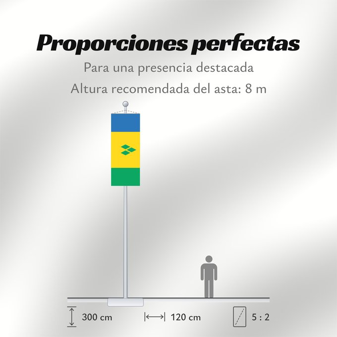 Proporciones de la bandera: Saint Vincent and the Grenadines	Saint-Vincent-et-les Grenadines	San Vicente y las Granadinas	St. Vincent und die Grenadinen	Saint Vincent e Grenadine	Флаг Сент-Винсента и Гренадин	Saint Vincenta in Grenadin