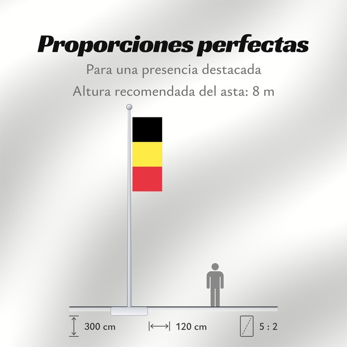 Proporciones de la bandera: Belgium  civil	The civil ensign and flag of Belgium	Belgique	Bélgica	Belgien	Belgio	België in de verhouding 2 3, gebruikt als civiele vlag en de facto nationale vlag	Belgii	Belgiens	Civilna zastava Belgije	Флаг Бельгии