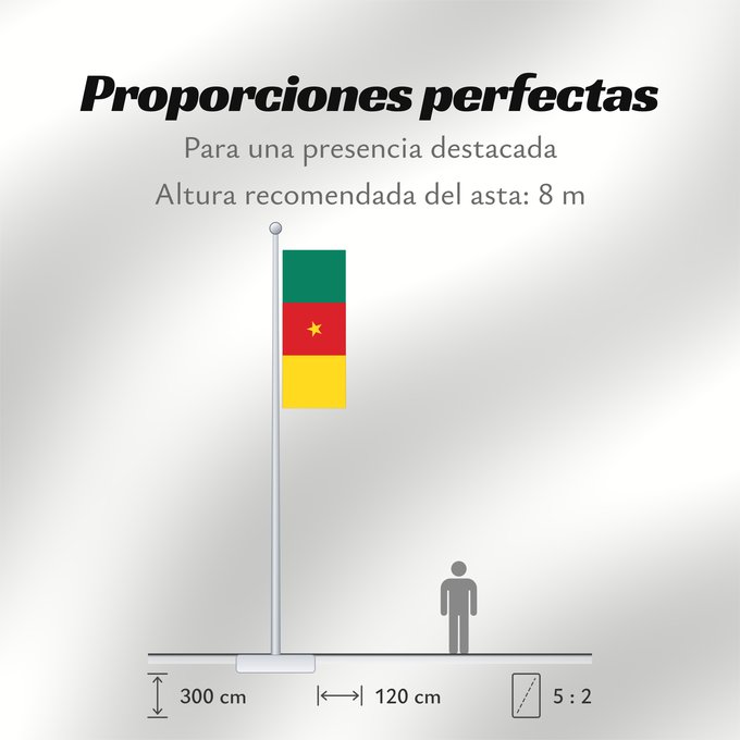 Proporciones de la bandera: Cameroon Cameroun Camerún Kamerun Camerun ক্যামেরুনের পতাকা। Kamerunu Kameruno پرچم کامرون Fändel vum Kamerun Знаме на Камерун Camerunului Kameruna Kameruns