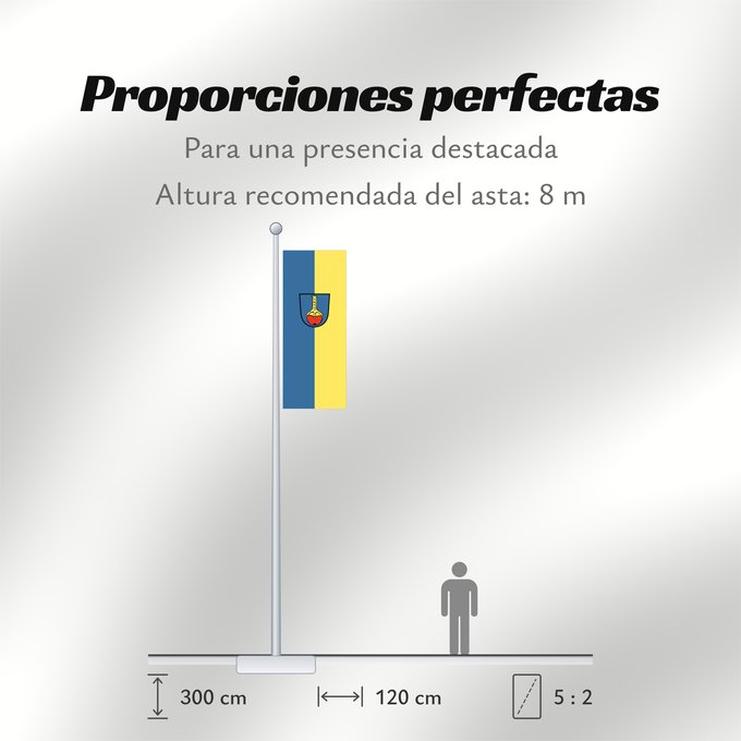 Proporciones de la bandera: Ehningen (Region Stuttgart)