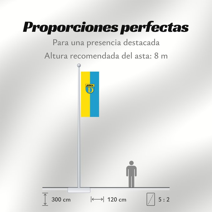Proporciones de la bandera: Dettingen unter Teck (Region Stuttgart)