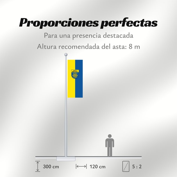 Proporciones de la bandera: Unterensingen (Region Stuttgart)