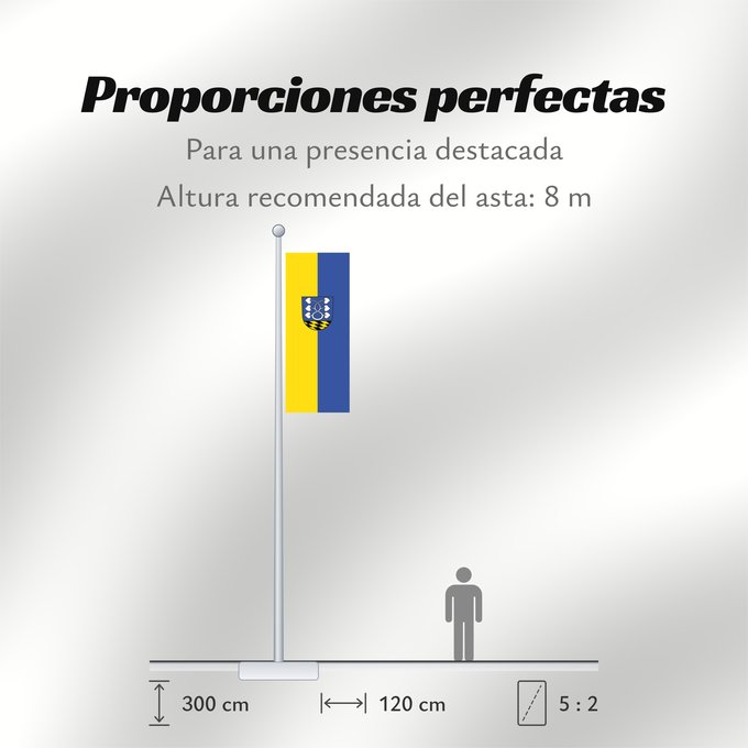 Proporciones de la bandera: Lenningen (Region Stuttgart)