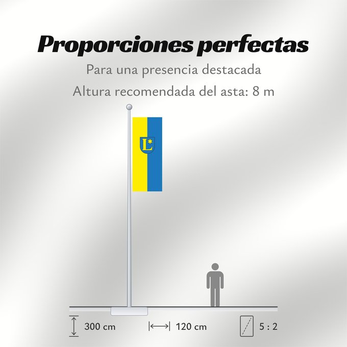 Proporciones de la bandera: Löchgau (Region Stuttgart)
