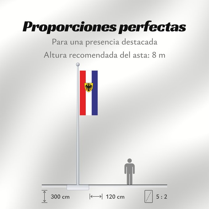 Proporciones de la bandera: Bad Wimpfen (Nördliches Baden-Württemberg)