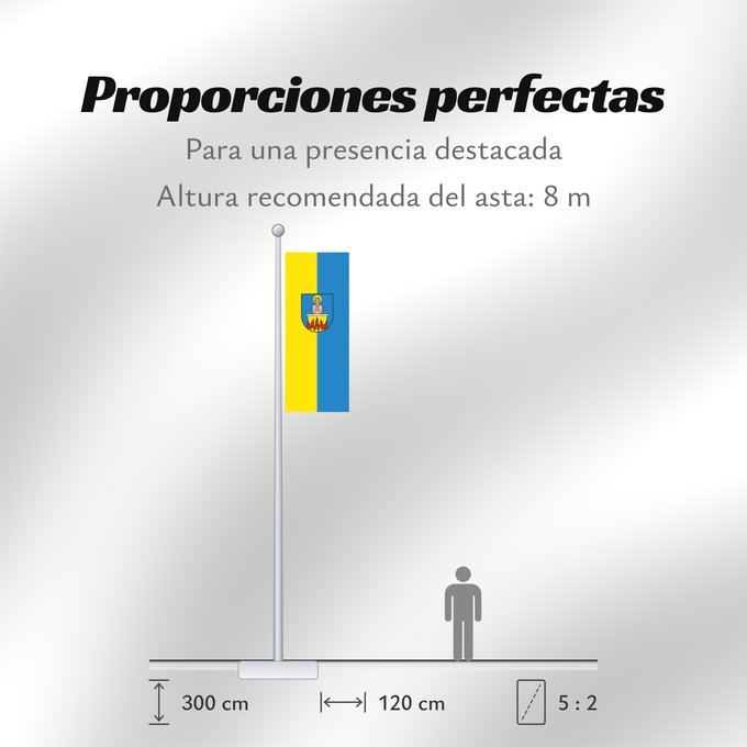Proporciones de la bandera: Flein (Nördliches Baden-Württemberg)