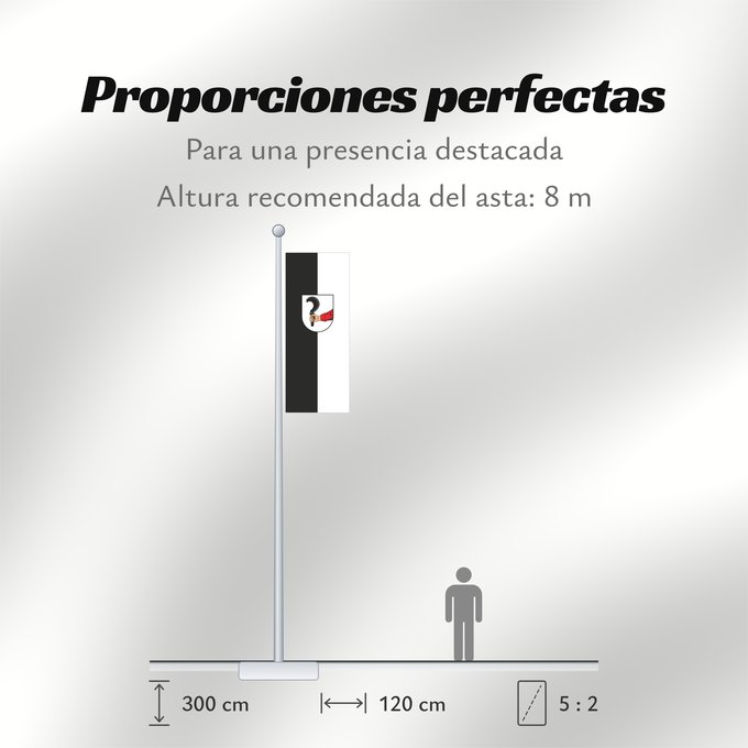 Proporciones de la bandera: Talheim (Nördliches Baden-Württemberg)