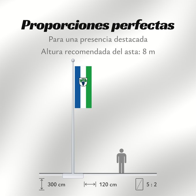 Proporciones de la bandera: Weingarten (Baden) (Nördliches Baden-Württemberg)