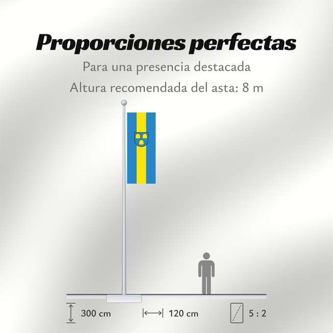 Proporciones de la bandera: Bühl (Nördlicher Schwarzwald)