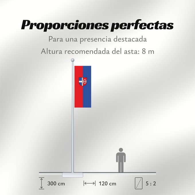 Proporciones de la bandera: Malsch (Nördliches Baden-Württemberg)