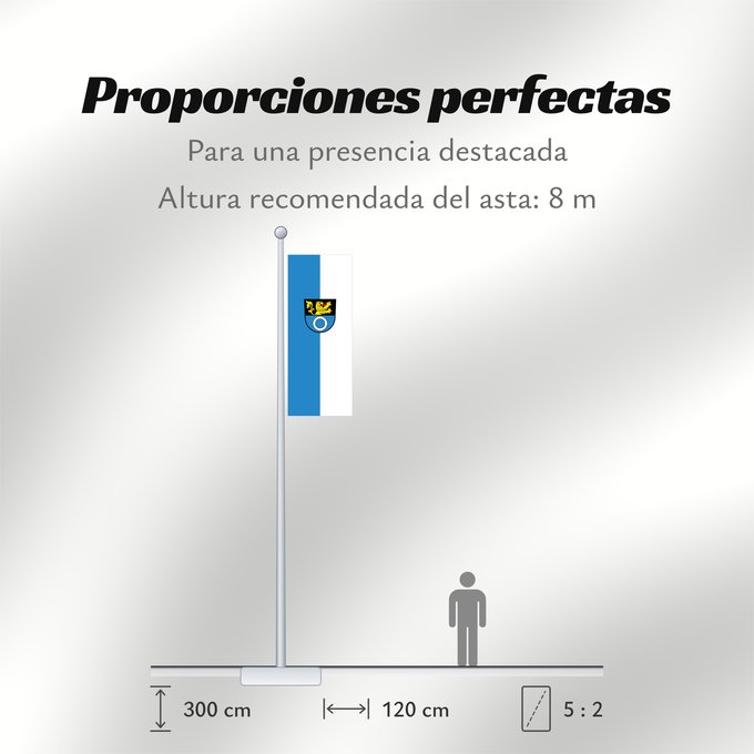 Proporciones de la bandera: Schwetzingen (Nördliches Baden-Württemberg)