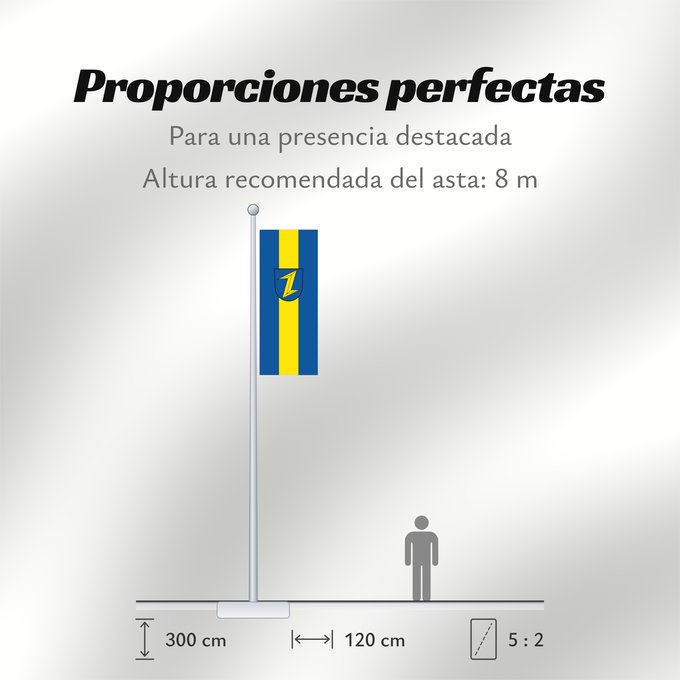 Proporciones de la bandera: Wolfach (Mittlerer Schwarzwald)