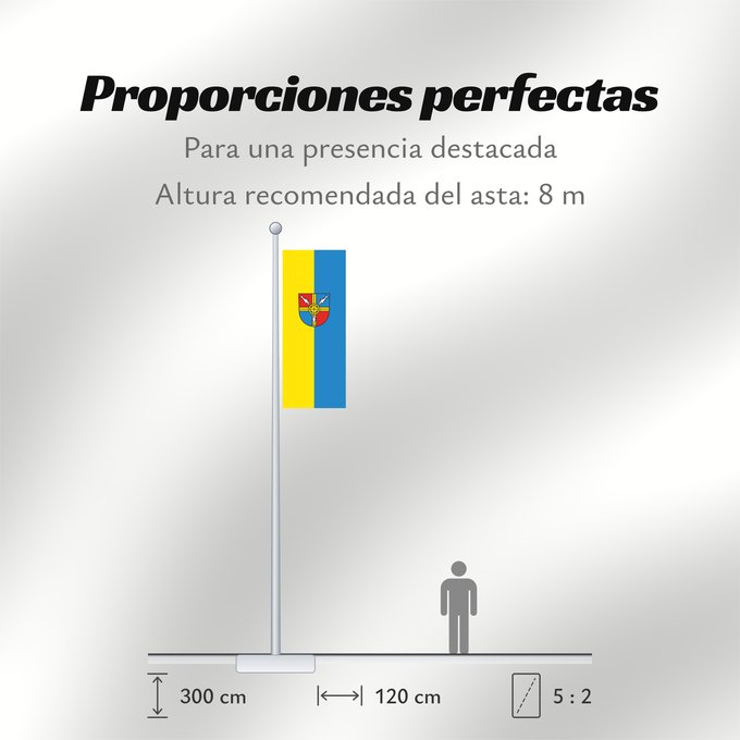 Proporciones de la bandera: Allensbach (Bodensee)