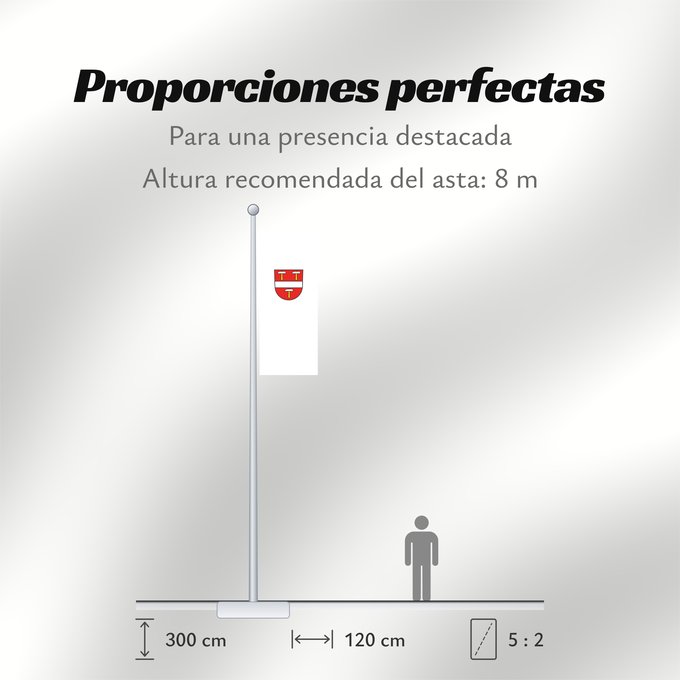 Proporciones de la bandera: Schönenberg (Südlicher Schwarzwald)