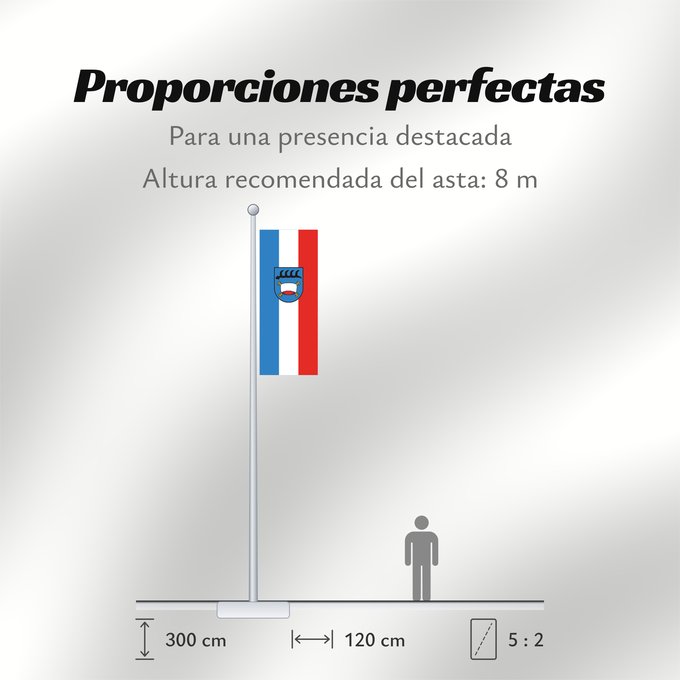 Proporciones de la bandera: Pfullingen (Schwäbische Alb)