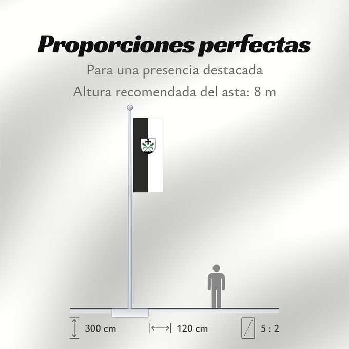 Proporciones de la bandera: Fleischwangen (Württembergisches Allgäu Oberschwaben)